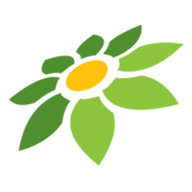 PAYLATER DI TOKOPEDIA